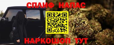 молекула духа Заводоуковск