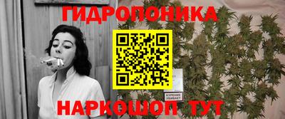 молекула духа Заводоуковск