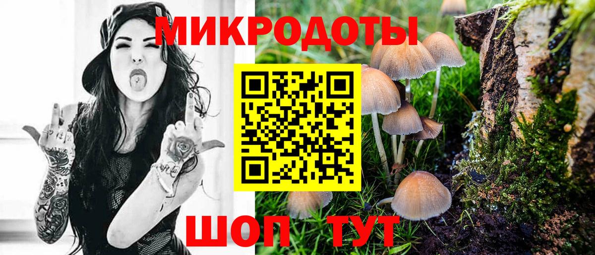Галлюциногенные грибы Psilocybine cubensis Кинешма